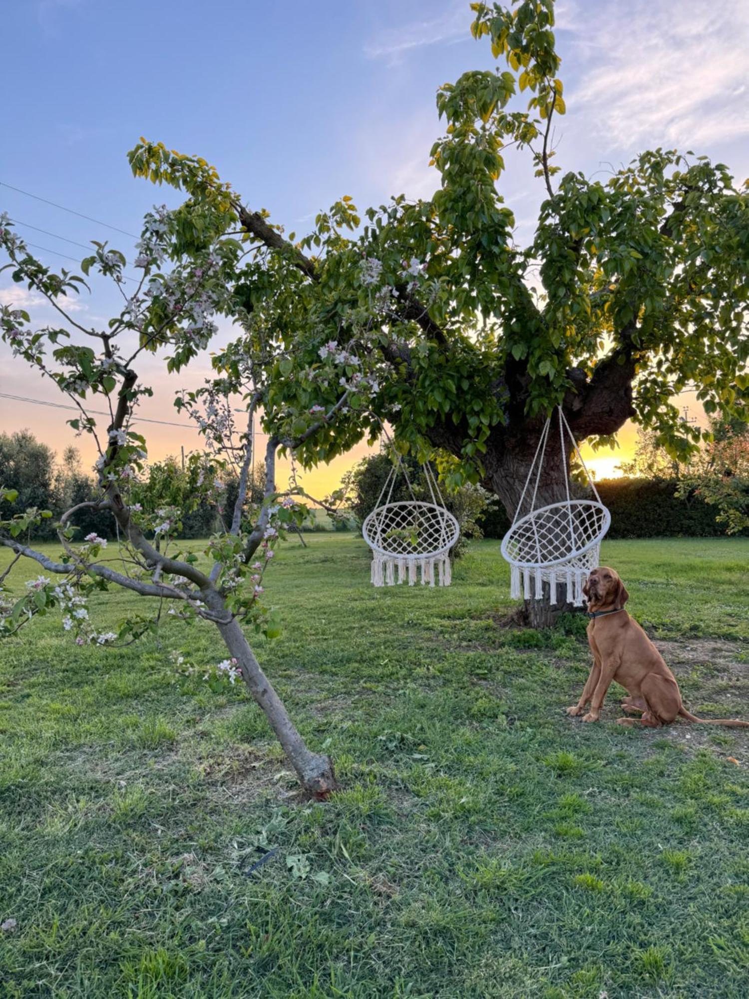 Agriturismo Le Grange Numana Extérieur photo